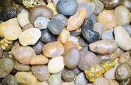 戈壁滩上的宝藏：玛瑙、葡萄干还是筋脉石？