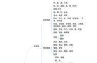 瓷器的种类与特点：一份完整的分类指南