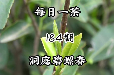 碧螺春：品味千年的传统名茶