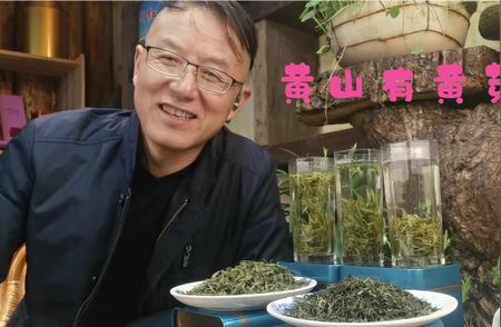 探寻黄山毛峰中的黄芽奥秘