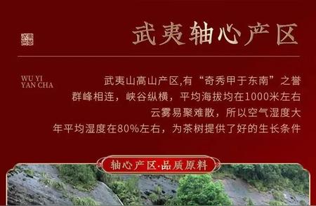 梁建中：荣誉中国的大红袍艺术家，国之瑰宝的缔造者