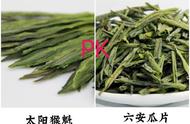 六安瓜片与太平猴魁茶的对决：哪款绿茶更胜一筹？