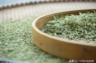 探索西湖龙井：从茶树品种到地域产区的全面解读