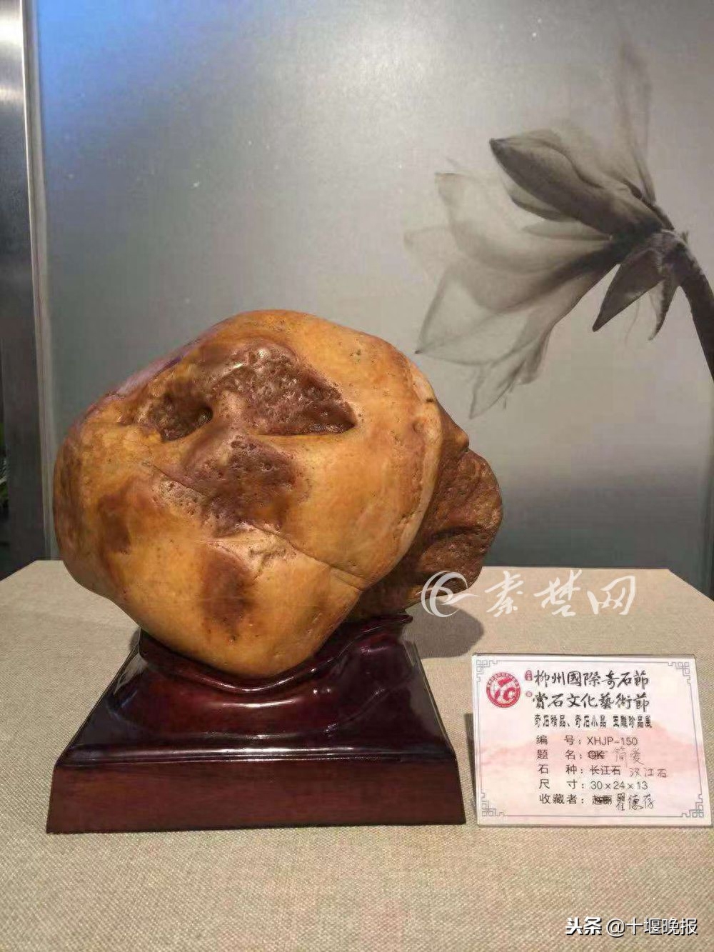 厉害了！这些汉江奇石荣获全国大奖